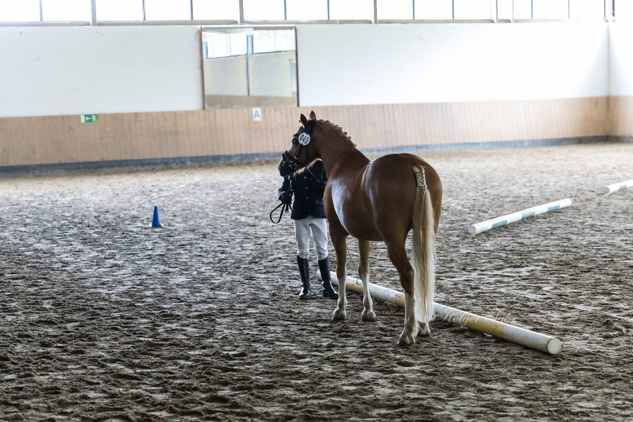 Bild 18 - Pony Akademie Turnier